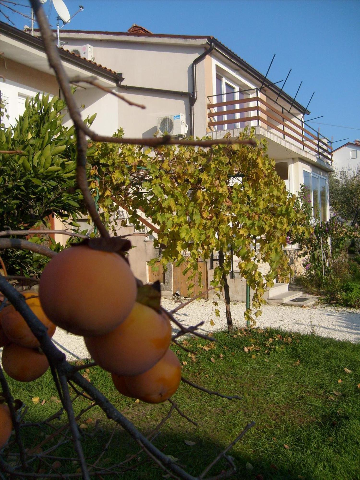 Apartment Bernic Medulin