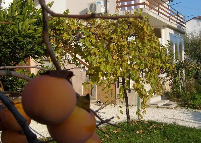Apartments Bernic